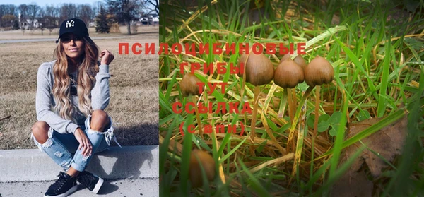 герыч Абдулино