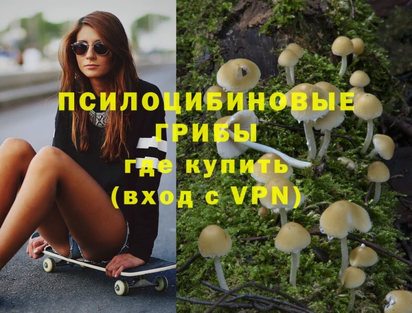 сатива Абинск
