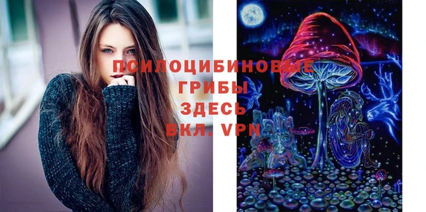 сатива Абинск