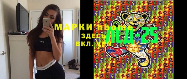 сатива Абинск