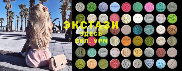 прущие грибы Новозыбков