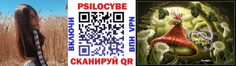 Псилоцибиновые грибы мухоморы  купить наркоту  сайты даркнета официальный сайт  Туран 